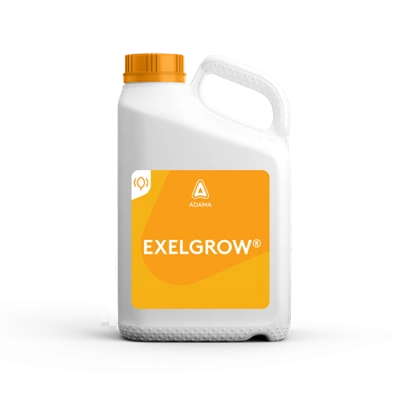 ExelGrow