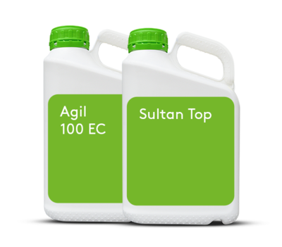 Sultan Top si Agil