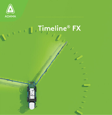 ADAMA Timeline FX