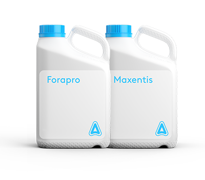 Pachet Maxentis Pro ADAMA