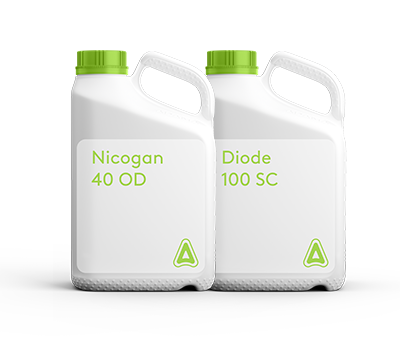 Pachet Nicogan Extra ADAMA