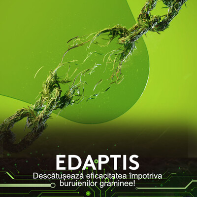 Edaptis ADAMA