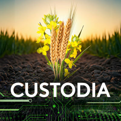 fungicid cereale custodia
