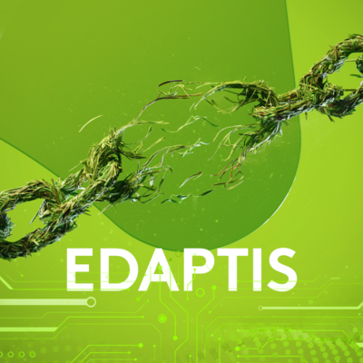 erbicid cereale edaptis mesosulfuron metil pinoxaden