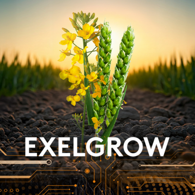 regulator crestere exelgrow