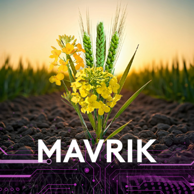 insecticid mavrik tau fluvalinat
