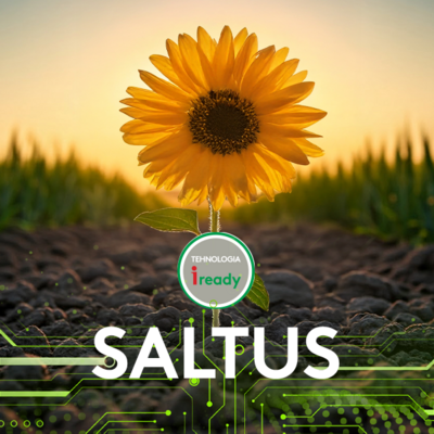 erbicid floarea soarelui imazamox saltus