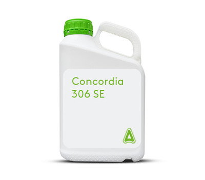 Concordia 306 SE.jpg