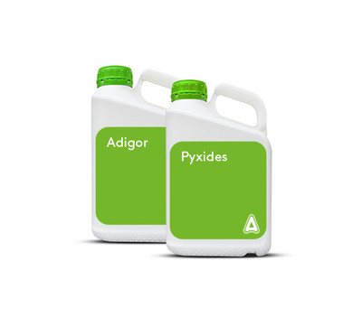 Pachet Pyxides.jpg