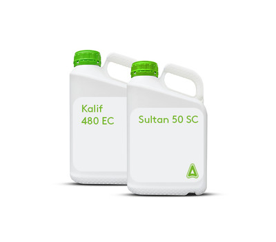 Pachet Sultan Extra
