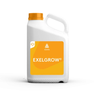 ExelGrow