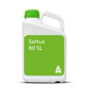 Saltus 80L