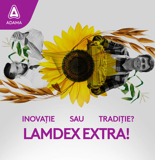 Lamdex Extra