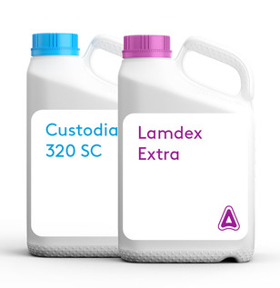 custodia lamdex