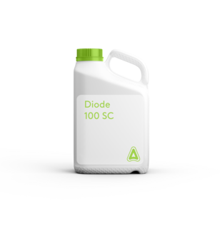 Diode 100 SC