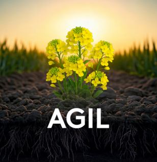 agil cel mai rapid graminicid