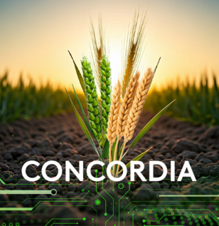erbicid cereale acid 2 4 d florasulam
