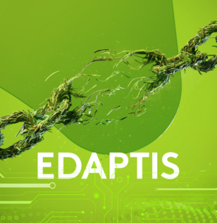 erbicid cereale edaptis mesosulfuron metil pinoxaden