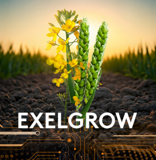 regulator crestere exelgrow