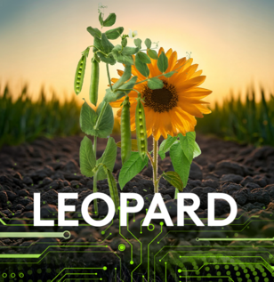 erbicid leopard quizalofop p etil