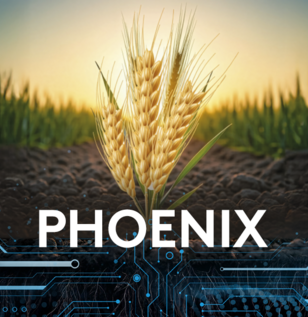 fungicid phoenix folpet cereale