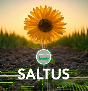 erbicid floarea soarelui imazamox saltus