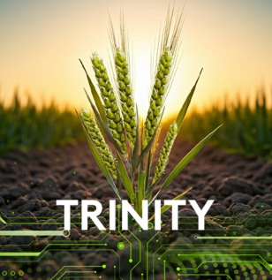 erbicid grau cereale trinity clorotoluron diflufenican pendimetalin