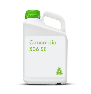 Concordia 306 SE.jpg