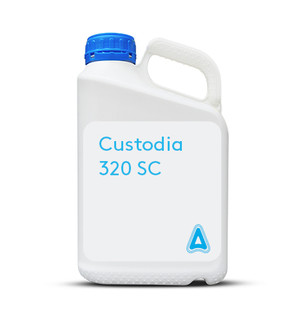 Custodia-320-SC-.jpg