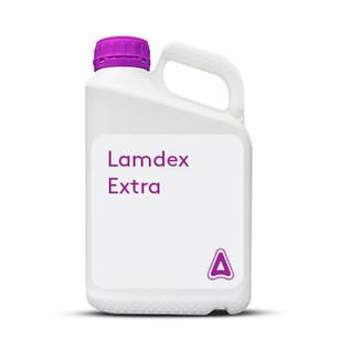 Lamdex Extra.jpg