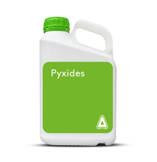 Pyxides.jpg