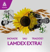 Lamdex Extra