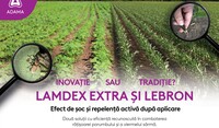 lamdex lebron