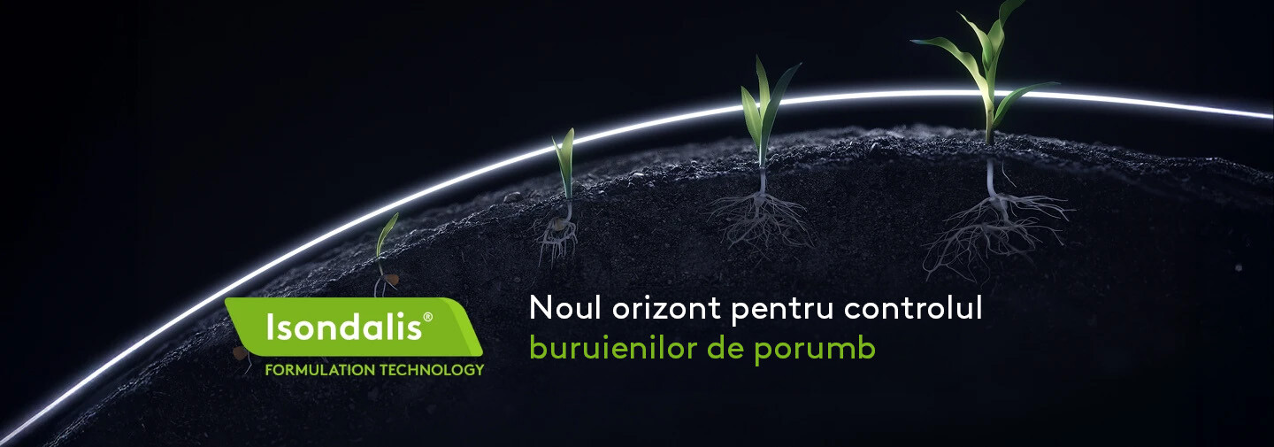 Tehnologia Isondalis ADAMA