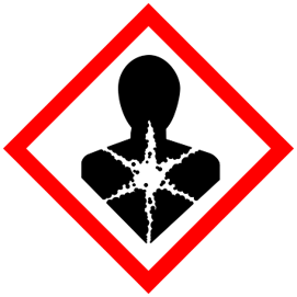 Blog Paragraph Image