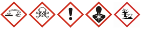 Blog Paragraph Image