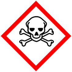 Blog Paragraph Image