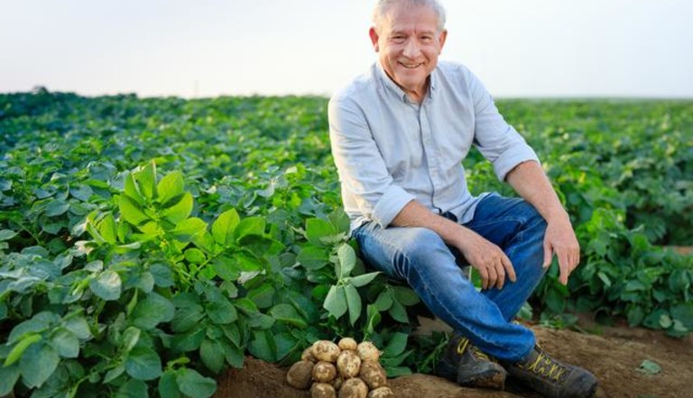 фермер с картофелем