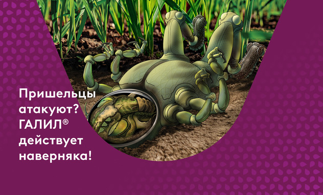 Галил упаковка