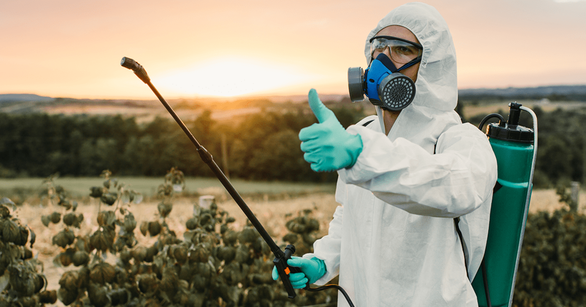 Опасные инсектициды. Adama пестициды. Опасность ядохимикатов для дезинсекции. Голубое опрыскивание.