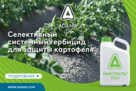Мистраль Топ