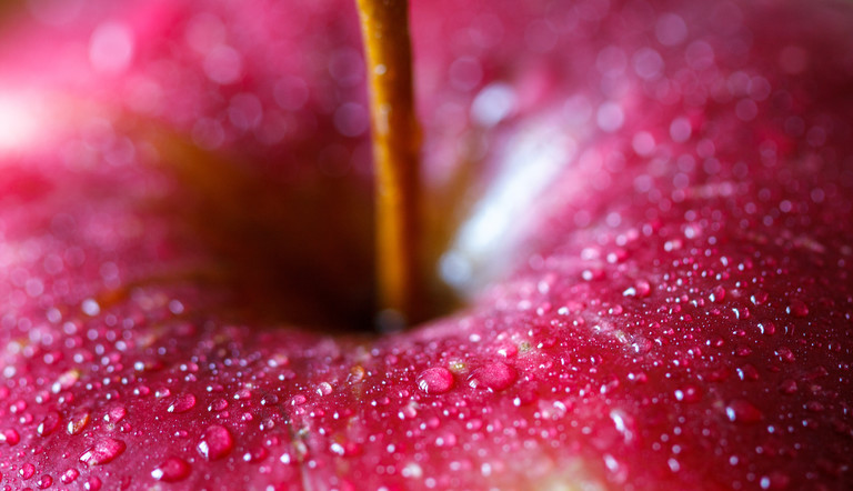 Apple Up Close