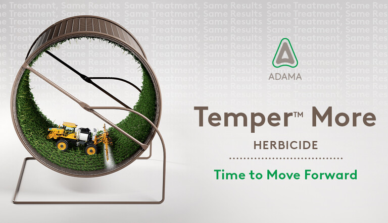 Temper More