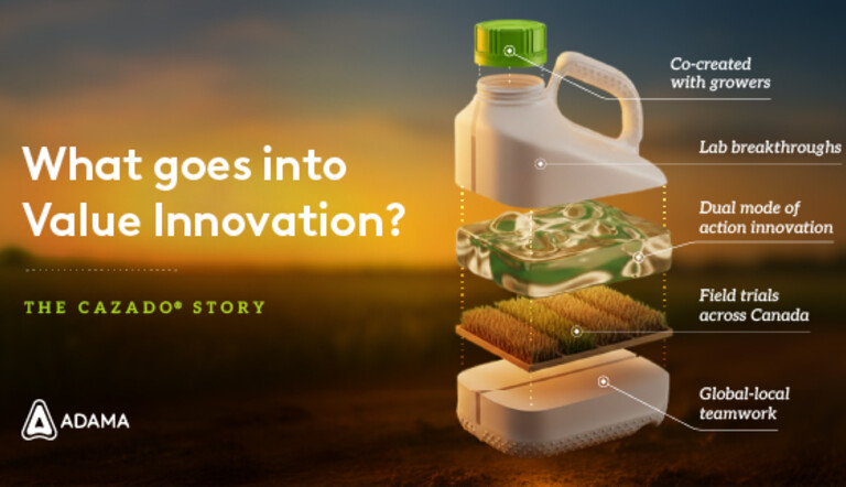 Cazado Value Innovation