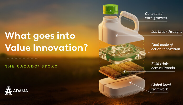 Cazado Value Innovation Story 