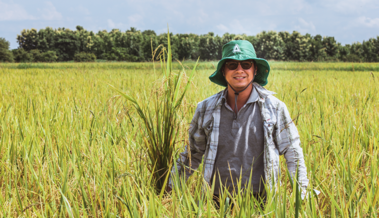 Farmer in rice field