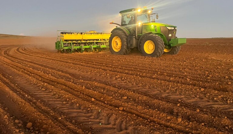 Soybean Planting