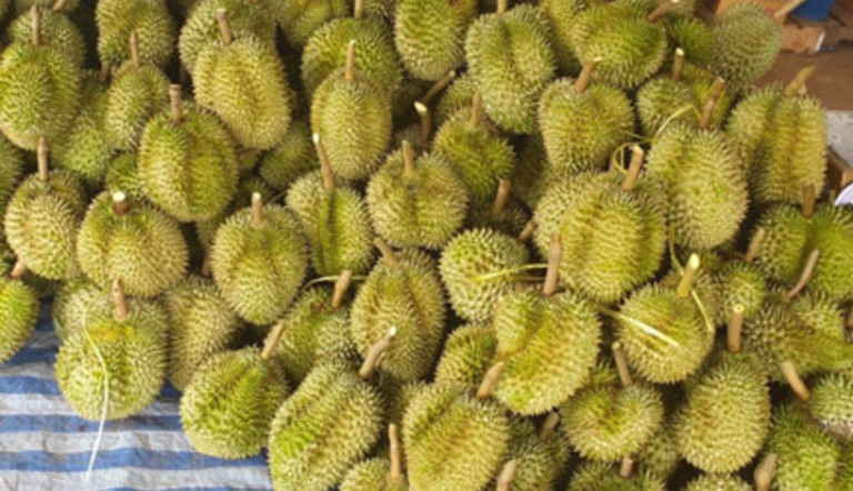 Durian