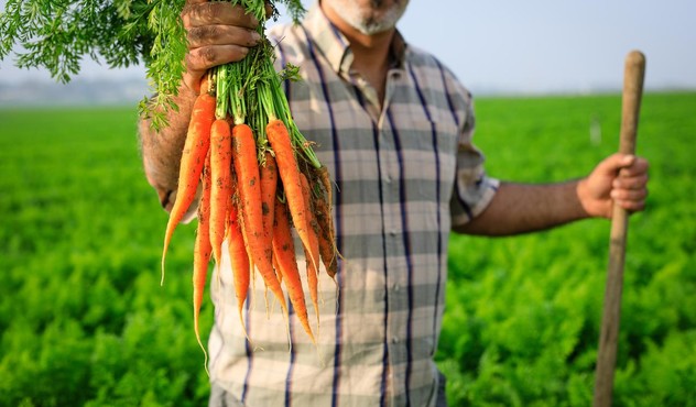 Carrots Up Close