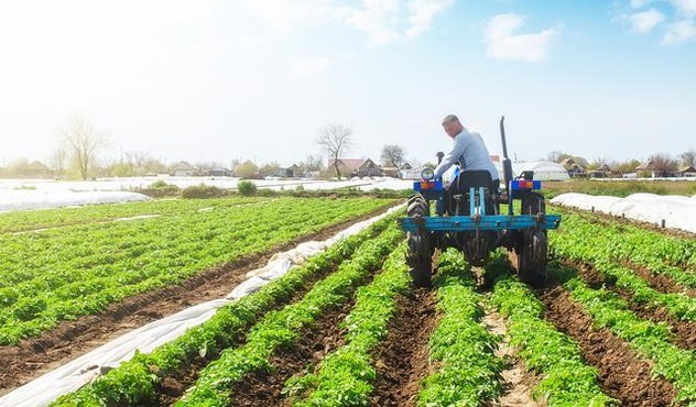 Farmer on Tractor in Potato Field.jpg